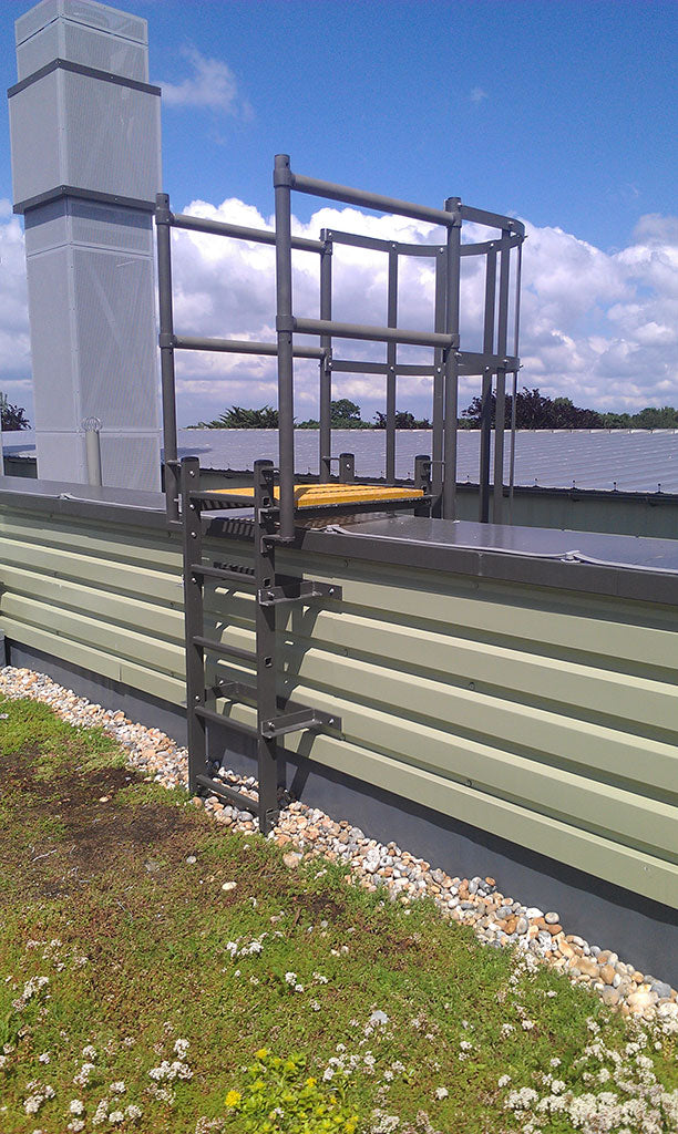Fixed Vertical Ladder with Safety Cage, Walkthrough & Parapet