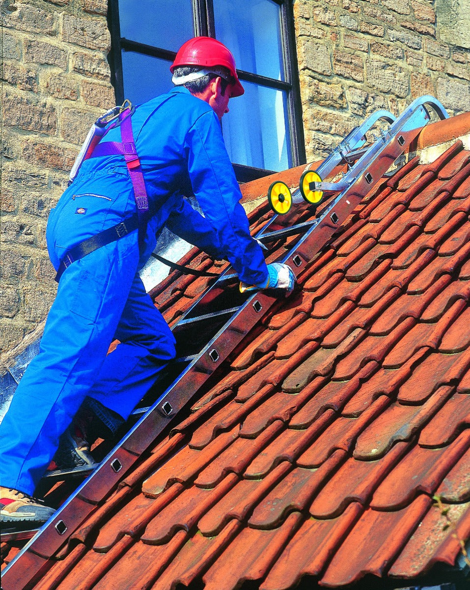 Youngman Single Section Roof Ladders