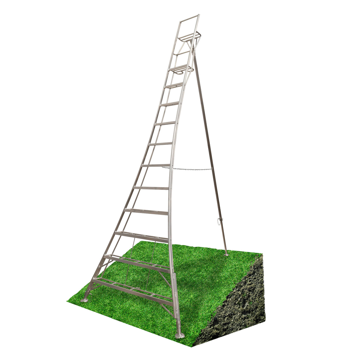 Metal spike ladder on a sloped patch of grass