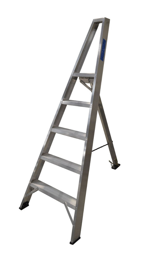 Lyte fruit picking ladder - 5 tread