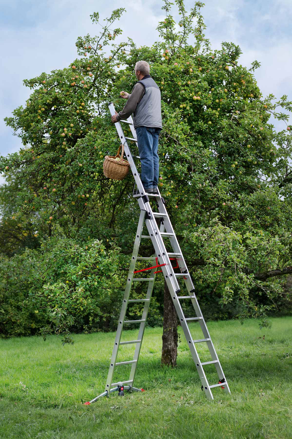 Hailo-Trade-Combi-Profilot-Ladders