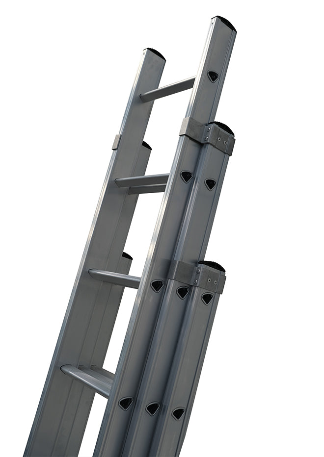 Dmax Triple Extension Ladder