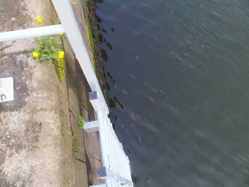 Fibreglass GRP Vertical Access Ladder with Optional Walkthrough - 1 m