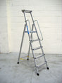 Z600 Anodised Step Ladders with Handrails - 10 Tread