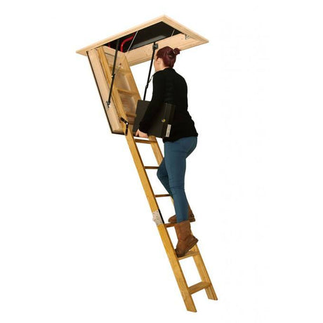 Electric Loft Ladders Blog Header