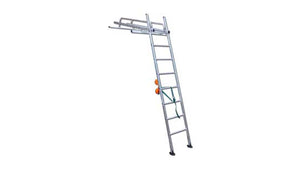 Conservatory Roof Ladders