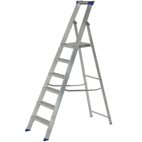 Werner EN131 Professional Builders Platform Step Ladder