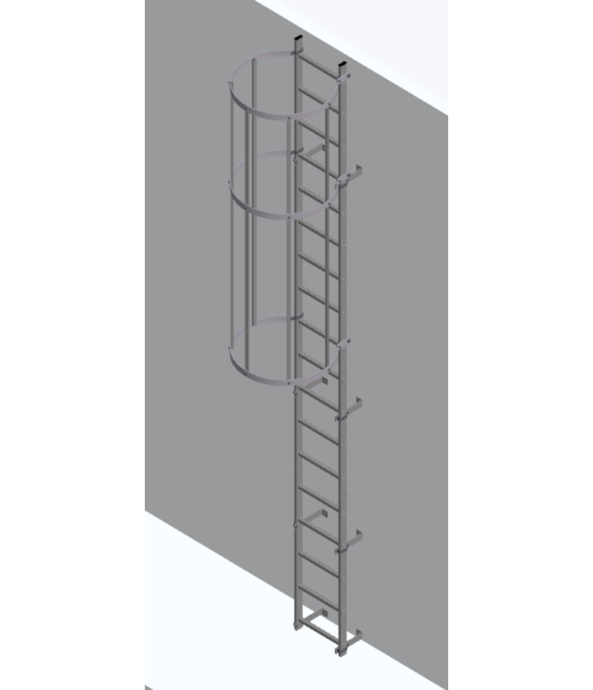 Krause Steel Vertical Ladder With Hoops & Hatch Access