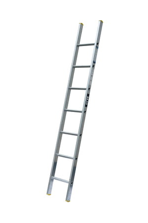 Lyte NELT120 Single Section Ladder