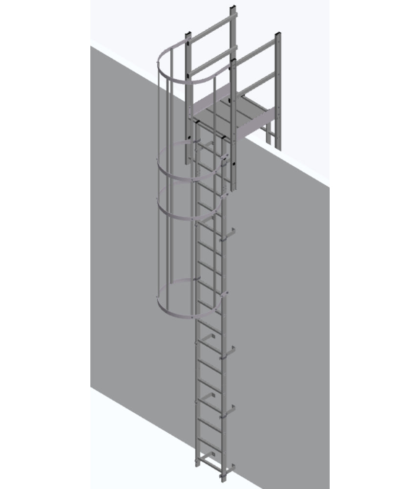 Vertical Ladder WIth Roof Parapet