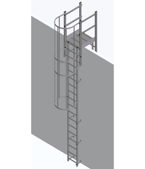 Krause Steel Vertical Ladder With Hoops & Parapet