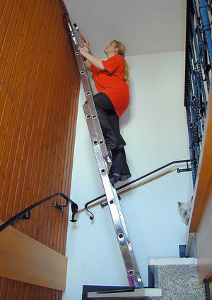 Krause Combination Ladders In Use