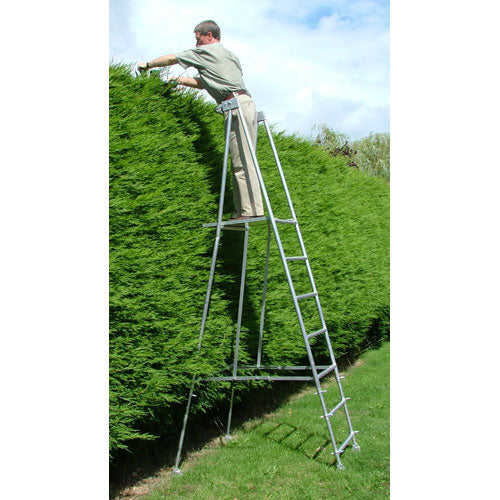 hedgemaster-bush