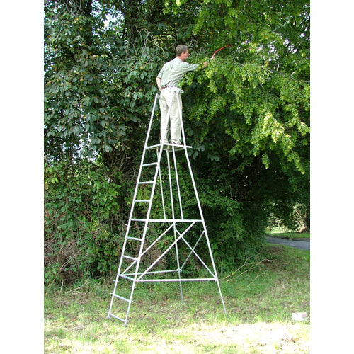 Hedgemaster Platform Ladder Professional - 2.55 m | HPROFESSIONAL ...