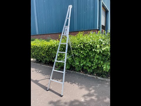 Fruit Picking & Garden Tripod Ladder - 3m