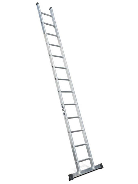 Lyte Single Section Ladders