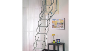 Ladders For Wall & Roof Openings