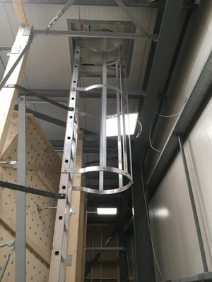 Fixed Vertical Ladder with Safety Cage In Use