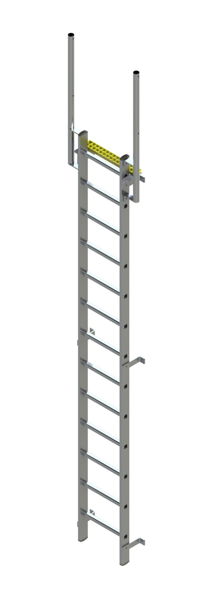 Fixed Vertical Ladder with Walkthrough
