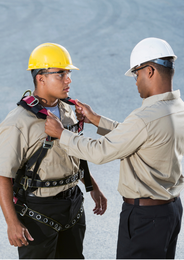 Harness & Restrained Ladders Course