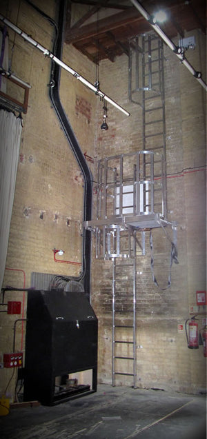 Theatre Bespoke Vertical Fixed Access Ladder