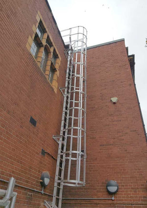 Fixed Vertical Ladder