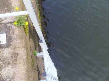 Fibreglass GRP Vertical Access Ladder with Optional Walkthrough - 1 m